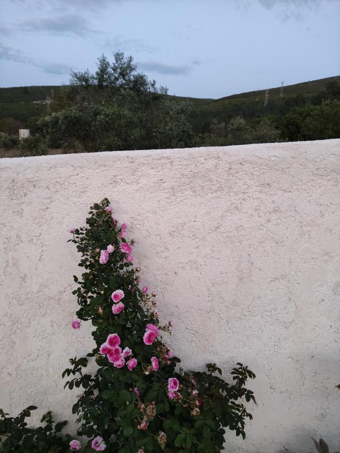 Casa Dos Vales 11 Villa Porto de Mós Екстериор снимка